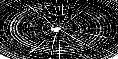 wood grungy abstract texture background with chaotic black ink splatters. scratches and scattered stains on a white surface. the design feels raw, distressed, and messy.