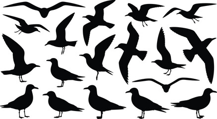 Bird silhouette icon set, 18 black vector illustrations of flying and standing seagull-style birds, perfect for nature, wildlife, design, motion