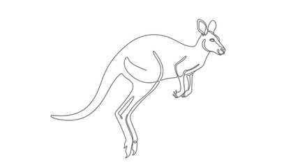 Elegant line art drawing of a kangaroo silhouette on a stark white background