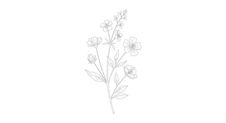 Elegant botanical sketch with delicate flowers and leaves in a graceful arrangement