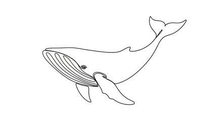 Elegantly simple one-line drawing of a whale showcasing minimalistic art style © kadal