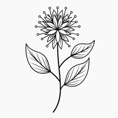 black and white flower