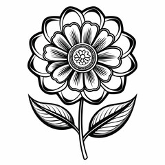 penny flower line art on white background