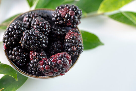 A bowl with fresh "amoras"  blackberries of Brazil