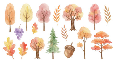 Watercolor fall elements composition with trees,leaves,grapes,acorn on transparent backdrop