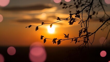 Silhouette of tree branches with leaves against a vibrant sunset and bokeh lights effect overlay