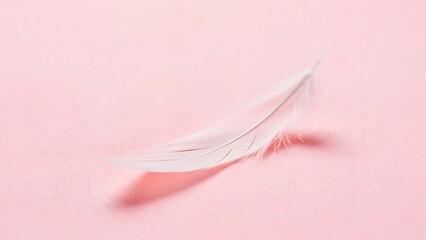 A delicate white feather resting gently on a soft pink surface creating a minimalist and serene scene