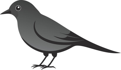 Simple illustration of a black bird standing on white background