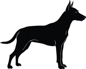 Black silhouette of alert muscular dog in profile view, standing confidently with erect ears and straight tail on white background.