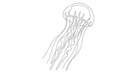 Elegant single line drawing of a jellyfish creating an ocean inspired illustration