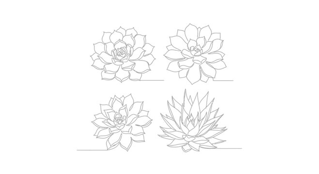 Elegant succulent plant outlines creating a simple yet sophisticated botanical art piece