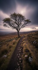 Solitary arboreal presence on a hillside path under a clouded twilight panorama display
