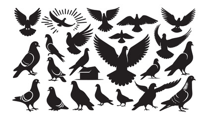 black color dove bird silhouette vector illustration, solid white background