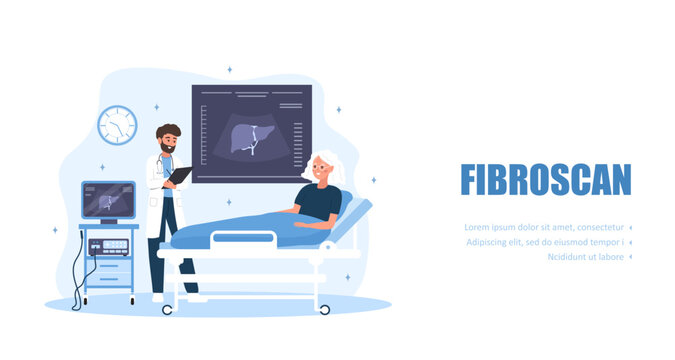 Fibroscan concept. Abdominal ultrasound procedure. Radiologist scanning patients liver for fatty disease, cirrhosis or cancer detection. Vector illustration in flat cartoon style.