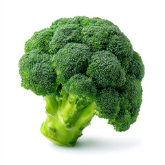 Fresh Broccoli