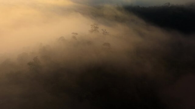 Aerial view of fog and sunrise on a winter morning