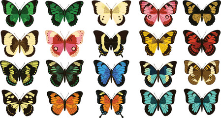 Fototapeta premium Vibrant and Diverse Butterfly Collection Vector Set Showcasing Various Species and Wing Patterns in Bold Colors, Perfect for Spring, Nature, and Decorative Design Projects