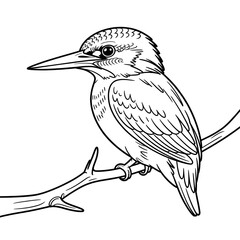 Obraz premium “Kingfisher Bird Illustration Artwork”