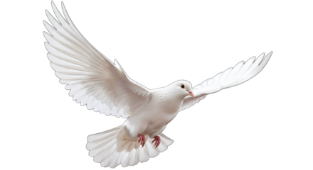 Elegant white dove soars against the dark background, wings spread, depicted in a vector art style.