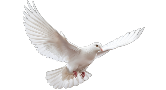 Elegant white dove soars against the dark background, wings spread, depicted in a vector art style.