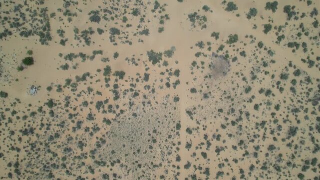 texture of the desert 