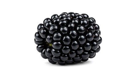 Close up of a single ripe blackberry isolated against a white background