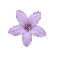 Fototapeta premium Stylized pastel lavender flower in soft minimalism, serene beauty
