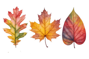 Three Watercolor Autumn Leaves in a Row fall leaf