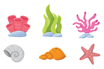 vector illustration of a set of sea shells