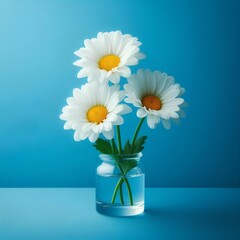 bouquet of daisies in vase