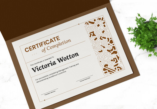 Stylish Certificate of Completion Template