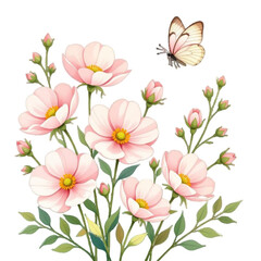 Vector illustration of delicate pink cosmos flowers in bloom with a butterfly on transparent Background, perfect for holyday card and dacor. Beautiful pink cosmos flowers with green leaves & butterfly