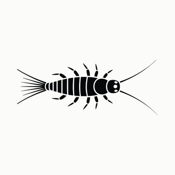 Black silhouette of a silverfish insect with antennae and segmented tail on a white background pest arthropod.