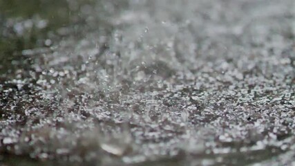 Rain drops falling on a wet surface, creating ripples. The water glistens in the light. The scene conveys a sense of freshness and serenity