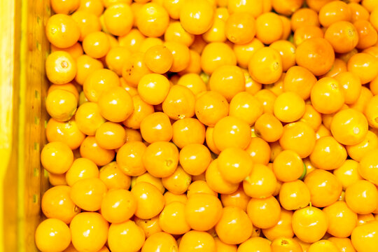 Cape gooseberry delicious tropical fruit