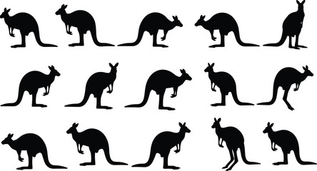 Kangaroo silhouette set, vector illustration collection of Australian animals, marsupials jumping and standing, black shapes isolated on white background, wildlife nature design elements.