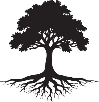 Black silhouette of a mature tree with exposed roots
