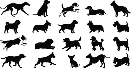 Dog breed silhouettes, black vector, pet identification, canine posture, sitting, standing, running, ear types, tail styles, comparison, chart, educational, animal shapes,purebred, domestic dogs
