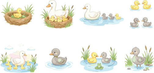 Duck and duckling illustration, nature scene, water habitat, family bonding, cute animals, cartoon vector, wildlife, parenting, pond life, educational design