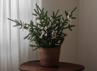 Branches of a fir tree decorated with bows in a basket on a wooden table in the living room. Christmas mood