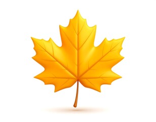 Glossy, golden, five-lobed maple leaf, detached, against white