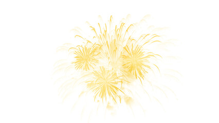 Colorful fireworks up on Bangkok sky