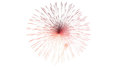 A delicate burst of fireworks in the night sky
