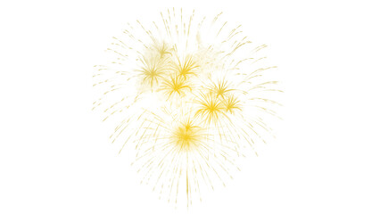 Obraz premium Banner Golden Firework celebrate anniversary happy new year 2026