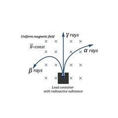 Illustration of the separation of alpha, beta, and gamma radiation as they pass through a uniform magnetic field.