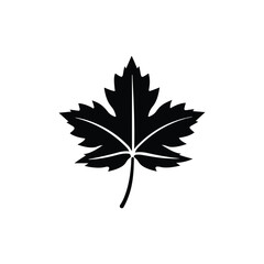 Maple leaf icon, nature