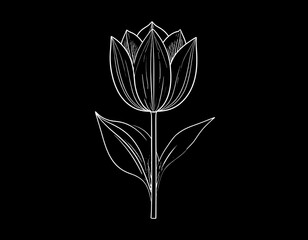 Monochrome outline of a tulip against a stark black background