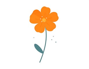Simple, vibrant orange flower with stem and leaf on white background