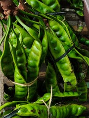 Fresh petai (bitter bean) sold at a traditional market, perfect for food promos, culinary content, farming topics, and educational materials about Indonesian local ingredients.