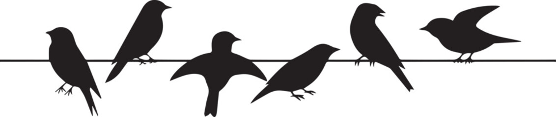 bird group on wire with single bird taking flight